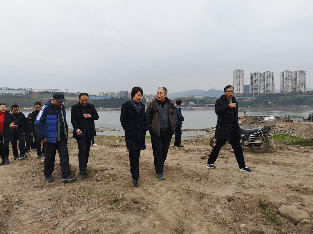 市生态環境局邀請生态環保專家為龍馬潭區躍水溪綜合整治工程“把脈問診”